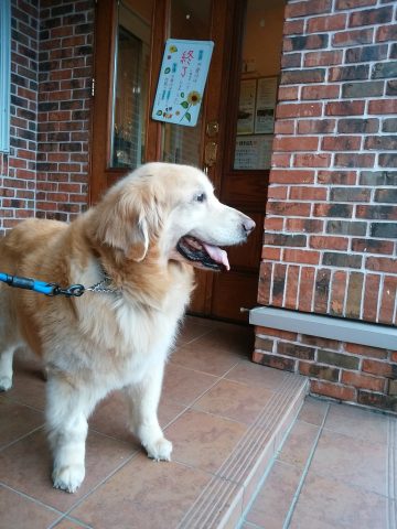 s_IMG_20160820_114420