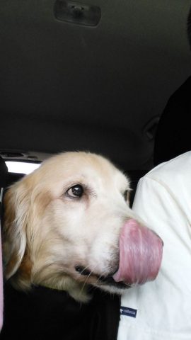 s_IMG_20160821_110525