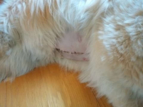 s_IMG_20160828_100118