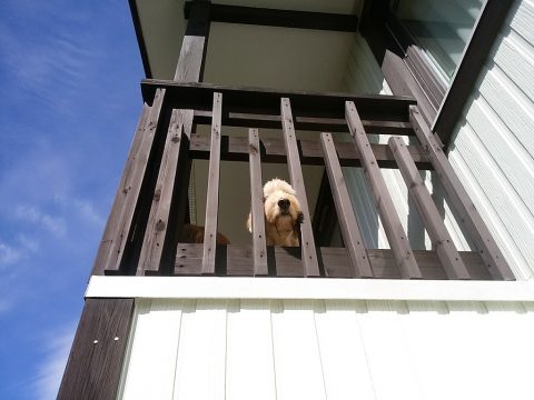 s_img_20160930_111150