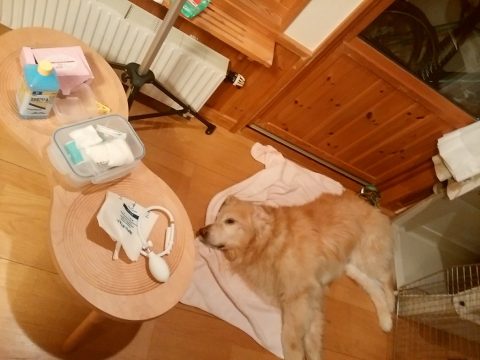 s_img_20161019_192455