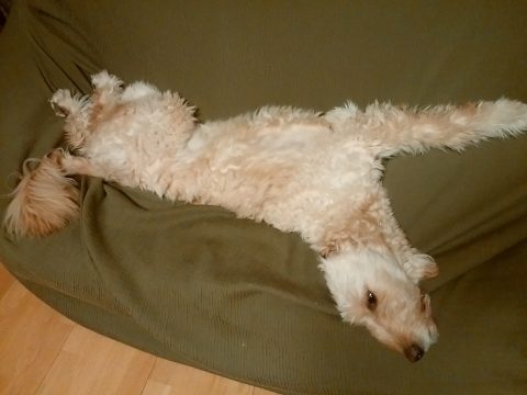 s_img_20161027_215825